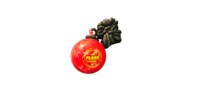 Flash Hanging Knocking Ball (For Batting Practice)